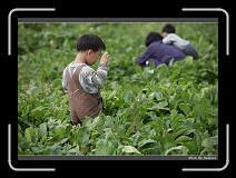 IMG_4023 * 850 x 608 * (248KB)