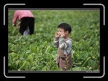 IMG_4027 * 850 x 608 * (225KB)