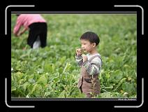 IMG_4028 * 850 x 608 * (232KB)