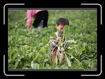 IMG_4029 * 850 x 608 * (236KB)