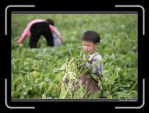 IMG_4031 * 850 x 608 * (248KB)