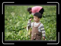 IMG_4032 * 850 x 608 * (244KB)