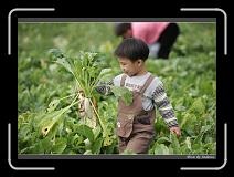IMG_4033 * 850 x 608 * (248KB)
