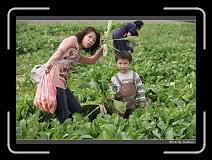 IMG_4036 * 850 x 608 * (245KB)