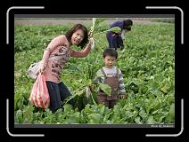 IMG_4037 * 850 x 608 * (241KB)