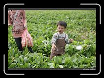 IMG_4041 * 850 x 608 * (239KB)