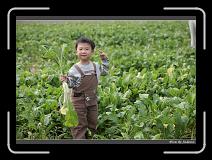 IMG_4048 * 850 x 608 * (246KB)