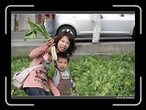 IMG_4057 * 850 x 608 * (222KB)