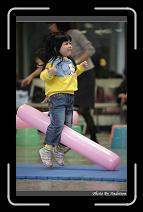 IMG_5501 * 566 x 910 * (239KB)