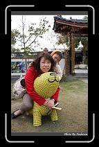 IMG_5790 * 566 x 910 * (247KB)