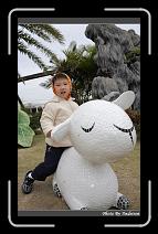 IMG_5801 * 566 x 910 * (231KB)