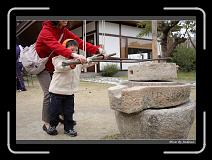 IMG_5819 * 850 x 608 * (246KB)