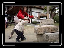 IMG_5822 * 850 x 608 * (250KB)