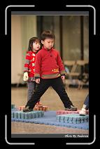 IMG_5994 * 566 x 910 * (239KB)