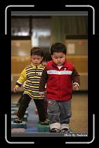 IMG_6016 * 566 x 910 * (236KB)