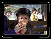 IMG_6380 * 850 x 608 * (245KB)