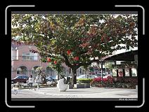 IMG_6508 * 850 x 608 * (245KB)