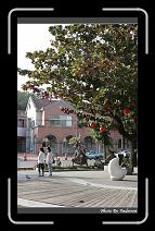 IMG_6510 * 566 x 910 * (248KB)