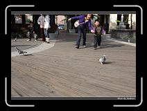 IMG_6521 * 850 x 608 * (246KB)