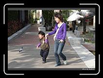 IMG_6523 * 850 x 608 * (229KB)
