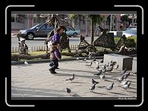 IMG_6527 * 850 x 608 * (248KB)