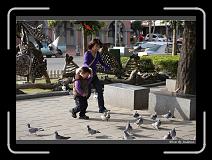 IMG_6528 * 850 x 608 * (245KB)
