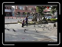 IMG_6530 * 850 x 608 * (249KB)