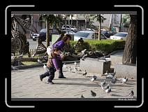 IMG_6531 * 850 x 608 * (243KB)