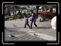 IMG_6533 * 850 x 608 * (241KB)