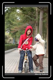 IMG_6571 * 566 x 910 * (228KB)