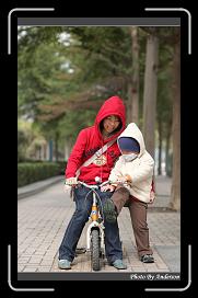 IMG_6572 * 566 x 910 * (223KB)