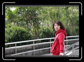 IMG_6590 * 850 x 608 * (247KB)
