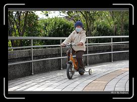 IMG_6591 * 850 x 608 * (244KB)
