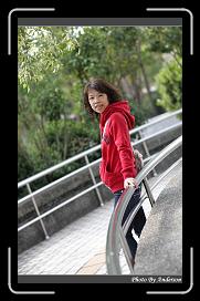IMG_6603 * 566 x 910 * (246KB)