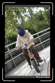 IMG_6616 * 566 x 910 * (242KB)