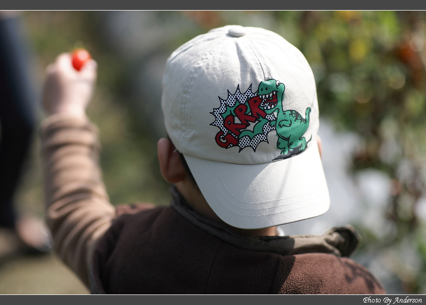 下一張幻燈片