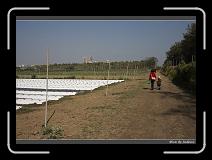 IMG_6639 * 850 x 608 * (244KB)