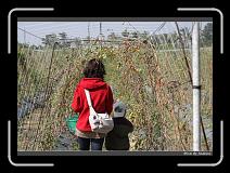 IMG_6647 * 850 x 608 * (243KB)