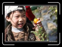 IMG_6657 * 850 x 608 * (225KB)