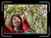 IMG_6662 * 850 x 608 * (243KB)
