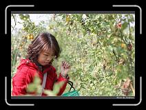 IMG_6664 * 850 x 608 * (239KB)