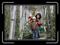 IMG_6668 * 850 x 608 * (249KB)
