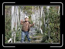IMG_6673 * 850 x 608 * (245KB)