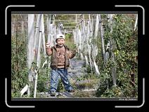 IMG_6675 * 850 x 608 * (246KB)