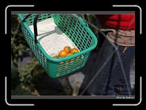 IMG_6678 * 850 x 608 * (240KB)