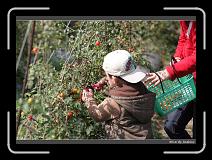 IMG_6683 * 850 x 608 * (239KB)