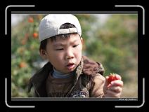 IMG_6688 * 850 x 608 * (227KB)