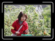 IMG_6690 * 850 x 608 * (235KB)