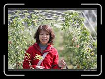 IMG_6691 * 850 x 608 * (250KB)