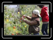 IMG_6692 * 850 x 608 * (235KB)